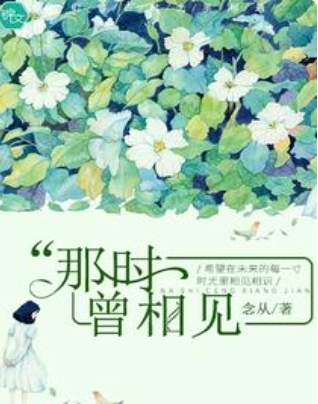 那时曾相见